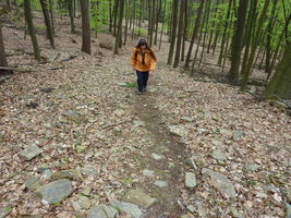 Steil und steinig an einigen Stellen